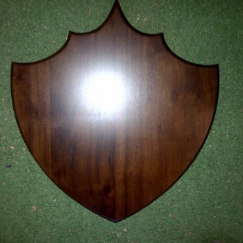 10409435_647608245382980_239437412008542557_n