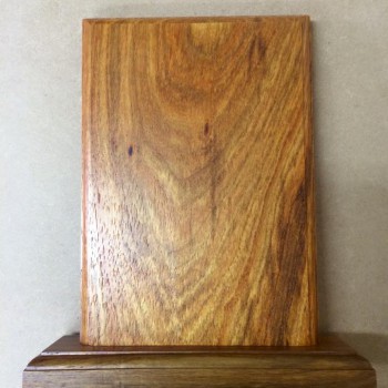 11046704_647587505385054_2481228659288448301_n