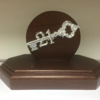 13465928_871138469696622_944994493125063505_n