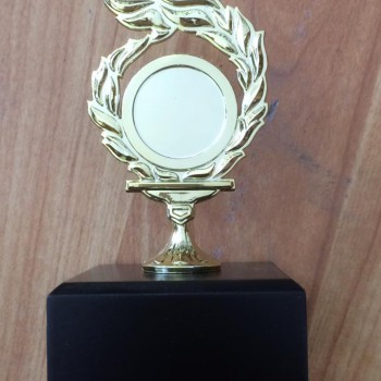 15171025_963483560462112_990848270765384816_n