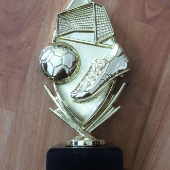 15178228_967875643356237_8483957309831294070_n