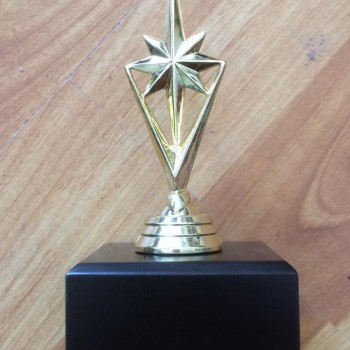 15181115_963483783795423_3444752440519435650_n