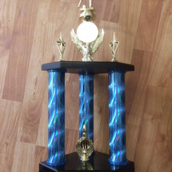 15192628_965059940304474_7918825615686871092_n